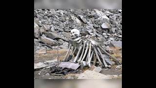 इस जगह पर खाली सिर्फ और सिर्फ कंकाल | 😰 This place is empty, only skeletons #shorts #ytshorts