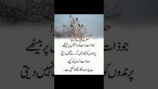 حضرت علی علیہ السلام نے فرمایا کہ ؟؟؟..|| Urdu quotes||ISLAMIC Quotes