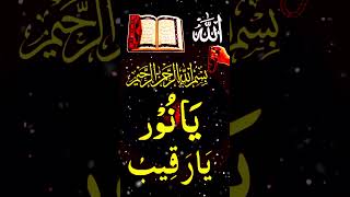 Ya nooru ya raqebu ka wazifa #allah #wazifa #trending #subhanallah #religion #shortvideo #viralvideo