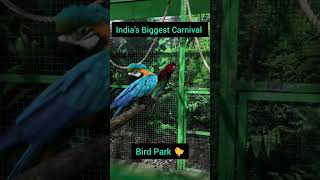 India's Biggest Carnival| Jurassic park| Pune Biggest Jurassic Park