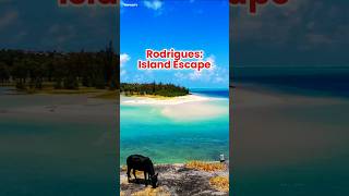 Unseen Travel Treasures: Rodrigues Island Mauritius #shorts #mauritius