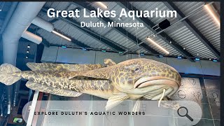 Exploring the Great Lakes Aquarium: A Hidden Gem in Duluth, Minnesota!