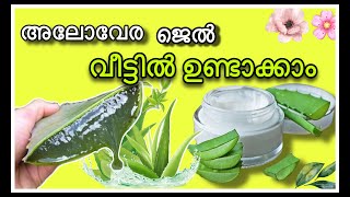 Aloe Vera Gel (കാറ്റർവാഴ ജെൽ ) ഇനി വീട്ടിൽ ഉണ്ടാക്കാം |How To Make Aloe Vera Gel At Home