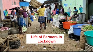 life of farmers in lockdown || Market Vlog || covid19  || Sad Moment  #mrpaldappa