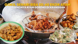 AYAM GORENG RACIKAN PAK MEMED SEHARI BISA 50 EKOR !