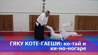 Гяку коте-гаеши: ко-тай и дзю-тай.