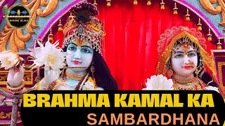 Radhe Govind Bhajan |Brahma Kamal Ka Sambardhanaa | Parikrama Song/Bhajan | Kripaluji Maharaj Song |