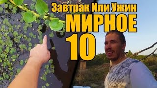 Мирное 10 - Завтрак Или Ужин?