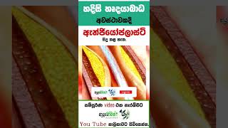 හදවතේ අවහිරතා/Blocks යතාතත්වයට පත් කරන ඇන්ජියෝප්ලාස්ටි/Angioplasty| MLTAnushikaPerera