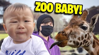 BABY GOES TO THE ZOO!!! Chased by a Llama at the San Francisco Zoo!