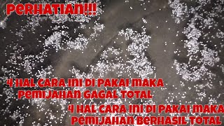 CARA 1 PASTI GAGAL PEMIJAHAN CARA 2 PASTI BERHASIL!!!