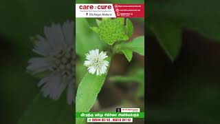 கரிசலாங்கண்ணிக் கீரை பயன்கள் / Care To Cure