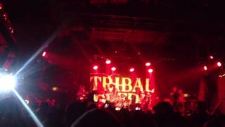 Tribal Seeds flow 2016 Santa Cruz