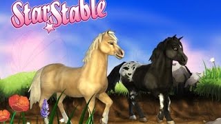 {♥}Star Stable Online{♥) Silverglade Championship