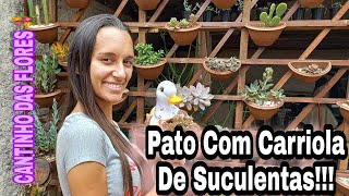 Pato Com Carriola De Suculentas!!!