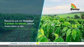 Cuida tu cultivo de café con Roundup® | Agro Bayer Colombia