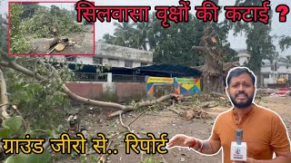 सिलवासा आमली और झंडाचौक विस्तार में वृक्षों की कटाई Silvassa Ke Amli Or Jhandachok Me Silvassa News