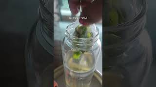 No sharing bas mera detox water #ytshorts #water#detox#detoxification ##trending 🔥🔥🔥🔥#viral#shorts