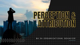 Perception and Attribution Part 1