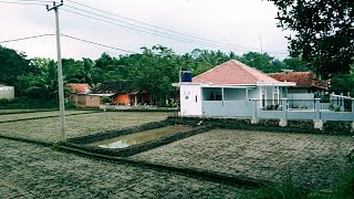 Suasana Kampung Sore Hari Alam Pedesaan Leuwigoong  Makin Betah..