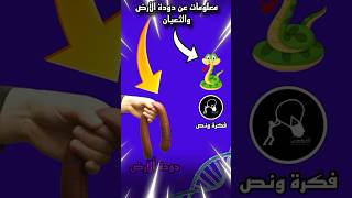 باستطاعة دودة الأرض عند انقسامها إلى قسمين أو أكثر، أن يعيش كل قسم وحده، #العراق #ثعبان #دودة