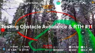 Testing Obstacle Avoidance & RTH #11