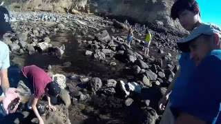 Abalone Cove Tide Pools November 2016