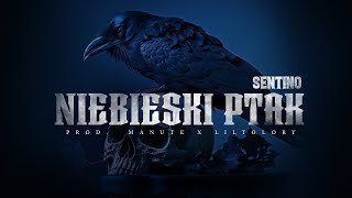 SENTINO - Niebieski Ptak prod. Manute x liltglory (Rough)