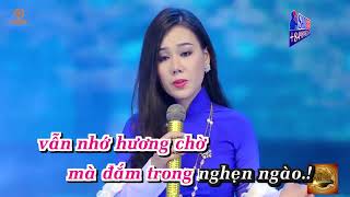 Sương Lạnh Chiều Đông   Full Beat  Lưu Ánh Loan