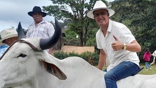 Caminata De Boyeros