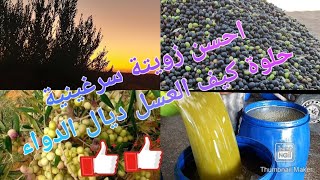 #أجود زيتون #زيوت قلعة السراغنة #دواءالبر  شاركت معاكم مراحل جني الزيتون الطبيعية  من الشجرة للمعصرة