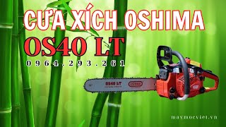 Giải pháp thu dọn cây đổ gãy sau mưa bão, máy cưa xích OSHIMA OS40LT | LH 0964293261