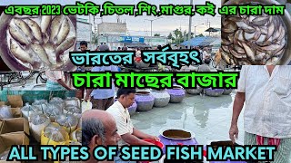 রাজেন্দ্রাপুর পোনা মাছ বাজার || এখান থেকে চারামাছ কিনে চাষ করতে পাড়েন || Seed Fish market ||naihati