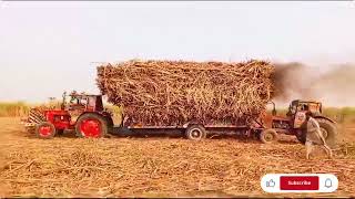 2 Belarus tractor🚜 in Heavy Load Trolley Suggrance _ Russi Tractor🚜 _ Tractors _ PVT