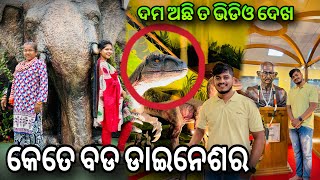 ପ୍ରଥମ ଥର ଏତେ ବଡ ଡାଇନୋସର ଦେଖିଲୁ // Amar Baby Odia vlog