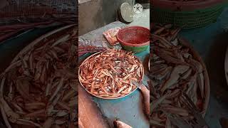 #video on #demand #fish #variety #subhanallah #alhumdulillah #allahuakbar #travel #food #mashallah