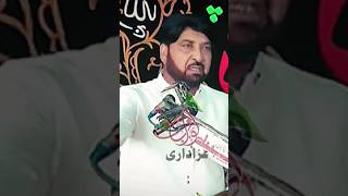 Allama Ali Nasir Talhara New Majlis#allamaalinasirtalhara #majlis #nawabazadari #ytshorts #video