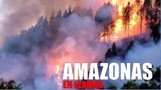 ARDE EN LLAMAS El Amazonas - Hagamos CONCIENCIA