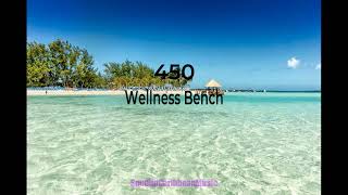 450 - Wellness Bench [Sped Up]