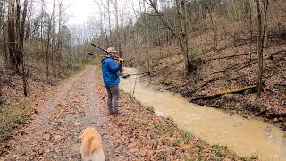 Water Rushing Through Culverts After a Storm