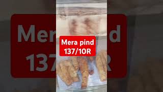 Mera pind 137/10R🏠🏠🏠🏠