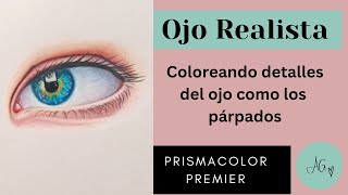 Cómo dibujar un ojo realista, párpados -Lápices de colores