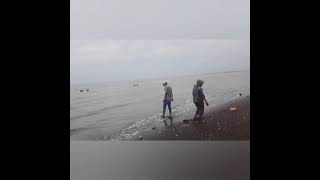 Mencari kerang " Ece'" di pantai Tanjungpakis, Kec. Pakisjaya, Kab. Karawang, Jawa Barat;