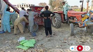 Wheat Thresher _ Tractor _ Paddy Thresher in wheat farming Tractor (1080P_HD)