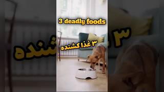 Three deadly foods/سه غذا کشنده. #dog #فکت #facts