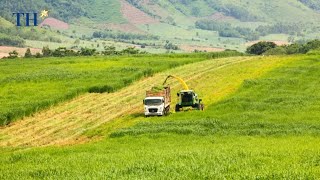 Tập đoàn TH đón "cơn mưa lời khen" từ đoàn công tác tỉnh Vĩnh Long về mô hình sản xuất xanh