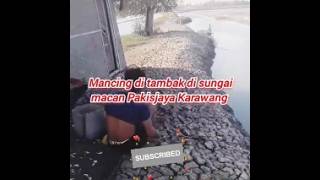 Mancing mujaer di tambak Pakisjaya Karawang