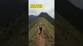 Jalan di Puncak gunung bisma #shorts #nature #mountains