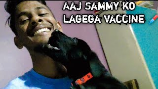 Aaj Sammy ko lagega vaccine 💉