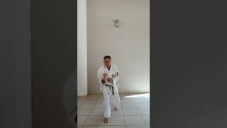 Kihon tsuki Wadoryu: Tobikomi tsuki.                       #artemarziale #wadoryu #karate